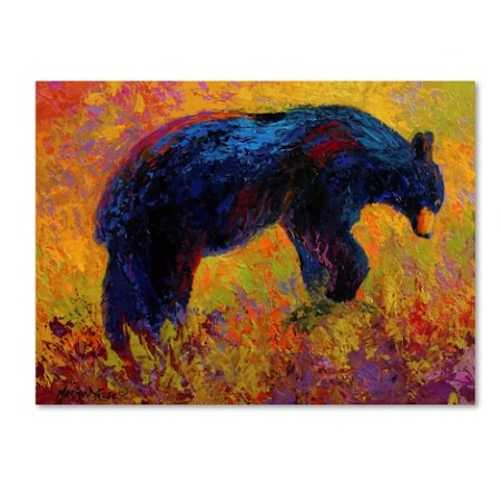 Marion Rose 'Young Adventurer Black Bear' Canvas Art,18x24